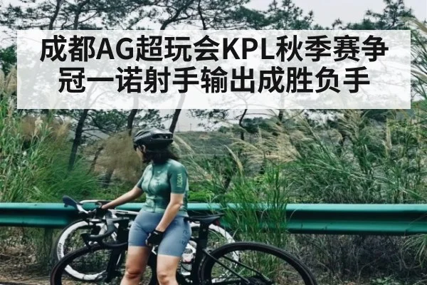成都AG超玩会KPL秋季赛争冠一诺射手输出成胜负手